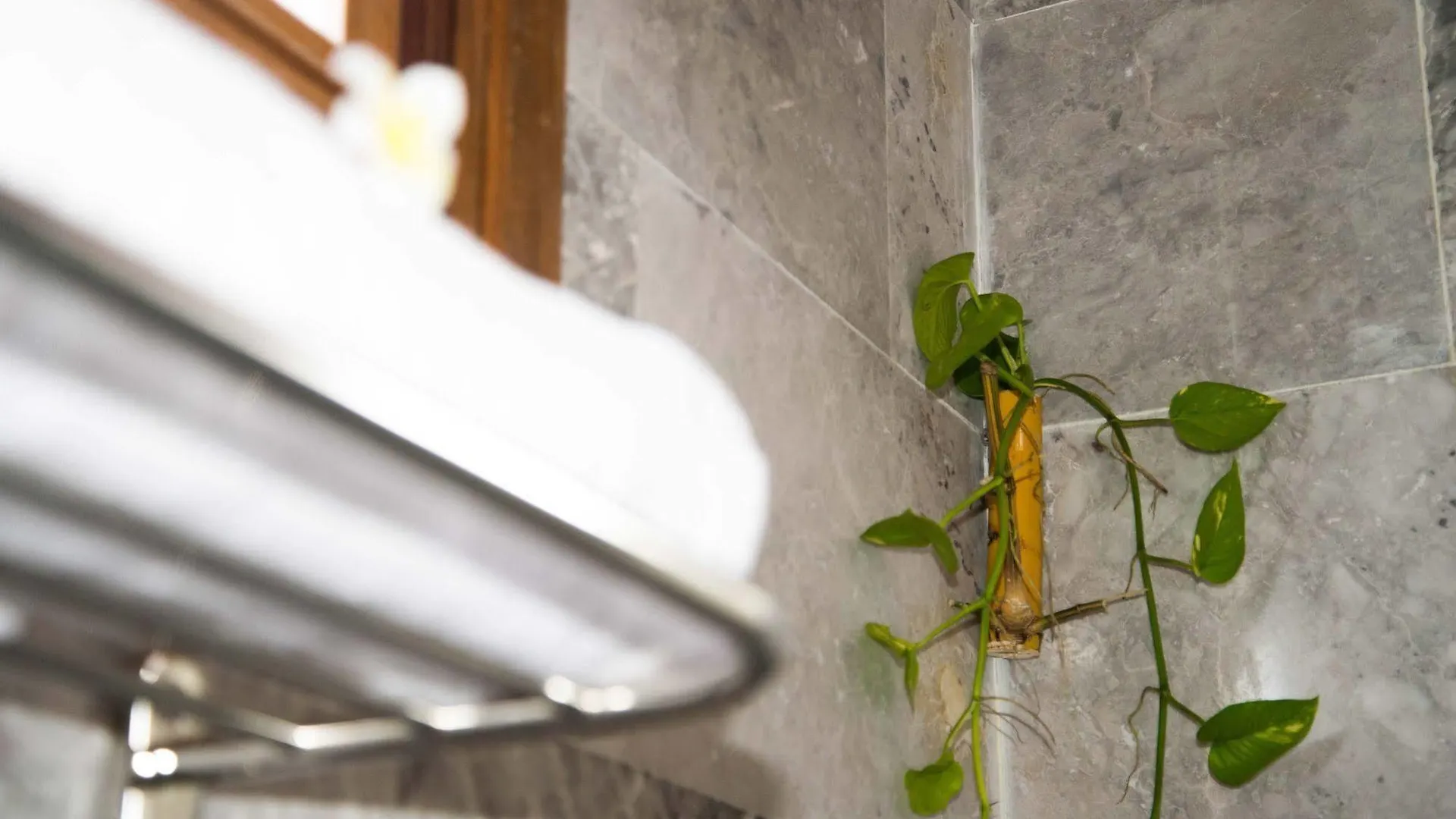 Ruby Hotel Hoi An